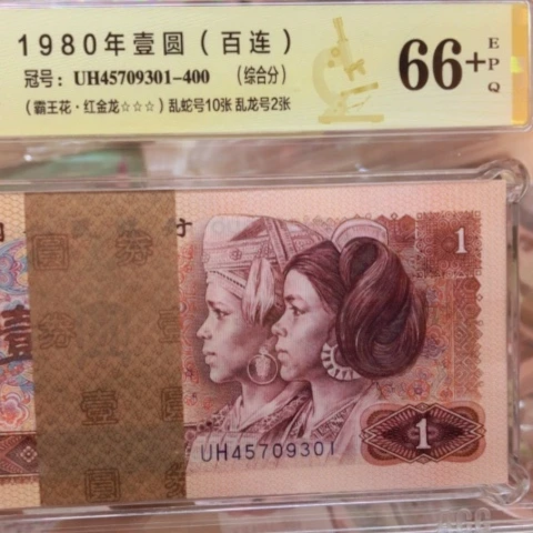 塑料45709301红金龙——————-