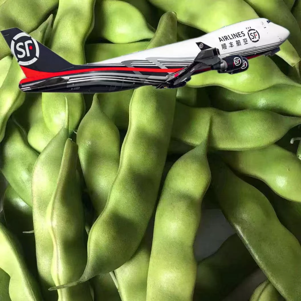 东北油豆角3斤/4.5斤（4斤半）顺丰包邮（几豆角）.吉林省松原市发货