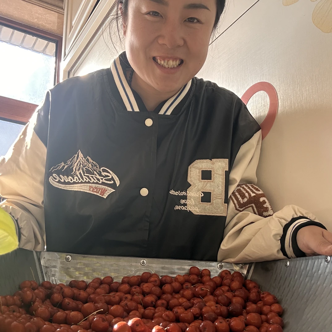 彰武特产大号食用酸枣软糯酸甜口感孕妇解馋零食补充维生素C