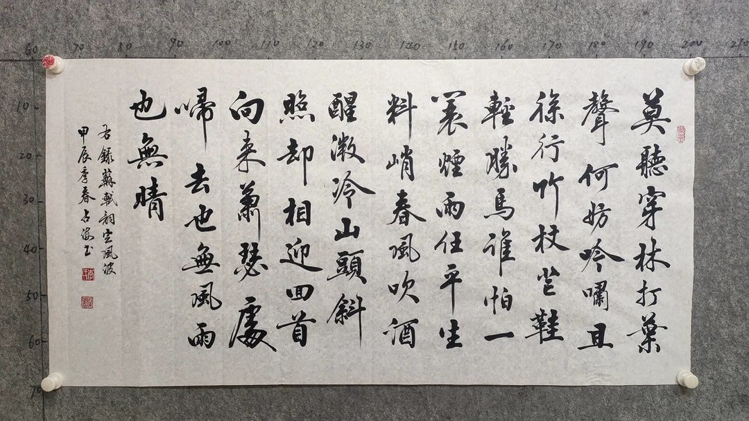 定风波书法作品客厅办公室装饰行书未装裱艺术收藏