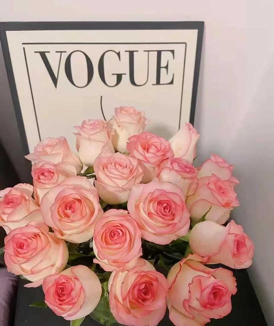 鲜花【艾莎】同地址两单以上顺丰包邮送货上门+送配草1扎