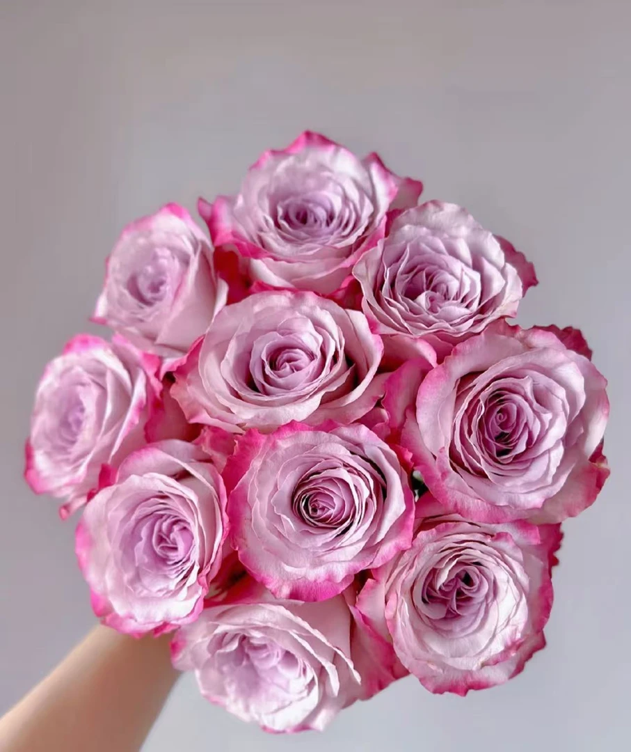 【10支 气场玫瑰 稀有玫瑰】任意拍两单升级顺丰/京东  云南鲜花