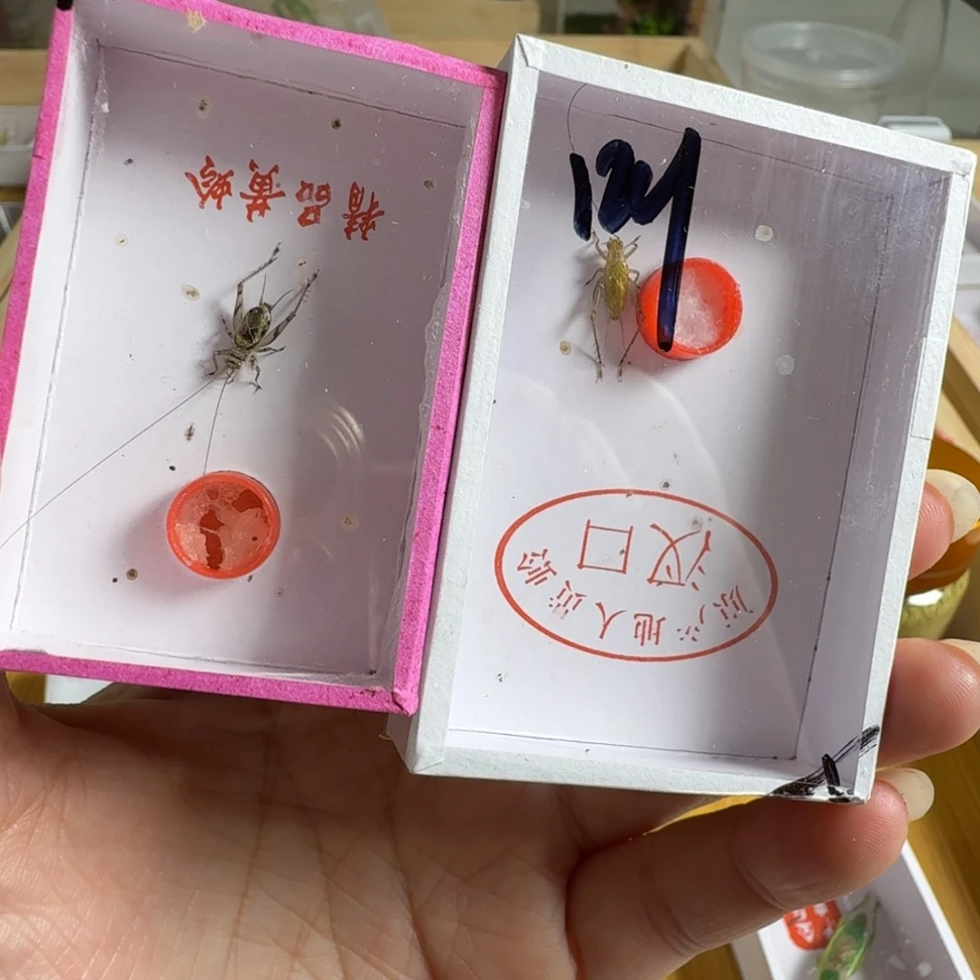 不退不换一套好听