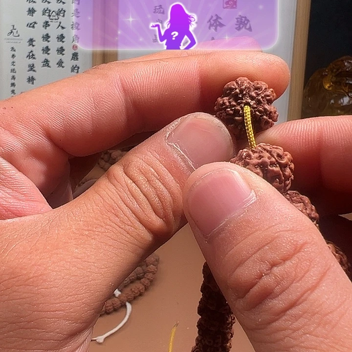 吊坠金刚菩提16尺寸原生态霸王花