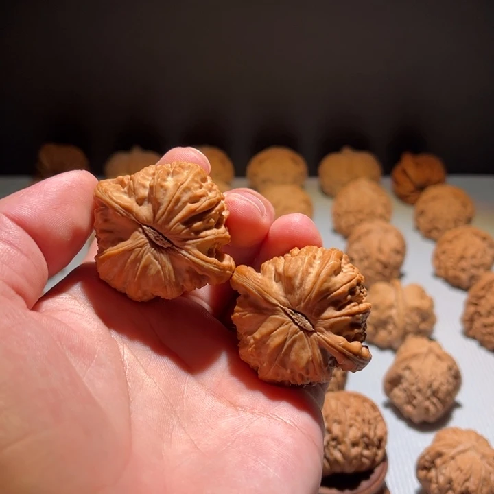 把件文玩核桃白狮子