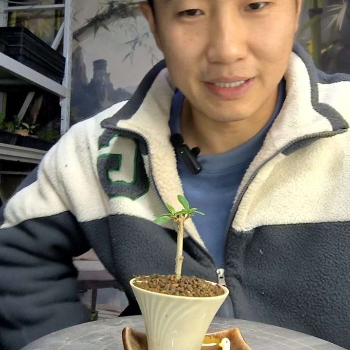 余*.中青园艺一物一拍414