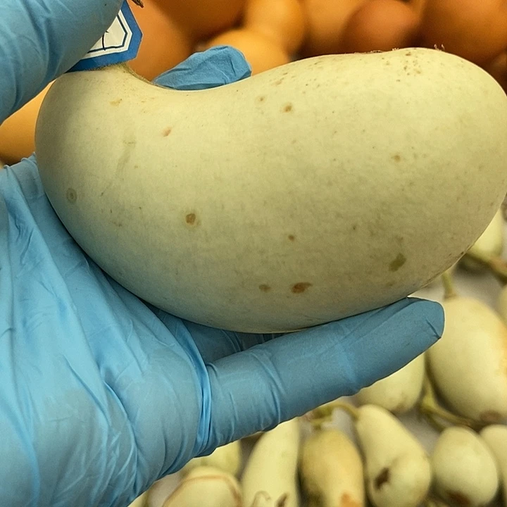 直播间里的拍品链接