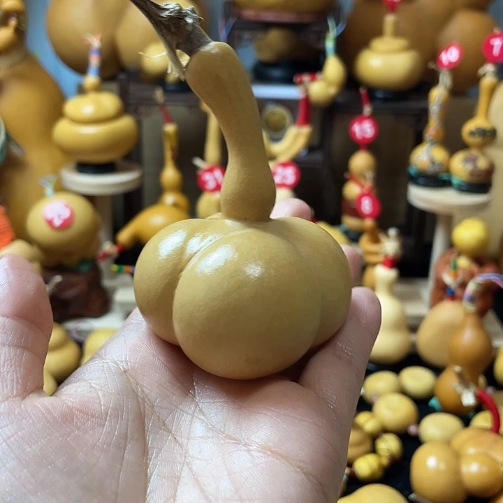 嫣***0葫芦丝老师在讲英语听力