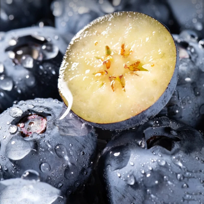 大颗蓝莓蓝梅鲜果新鲜水果当季进口采摘孕妇应当季辅食宝宝包邮