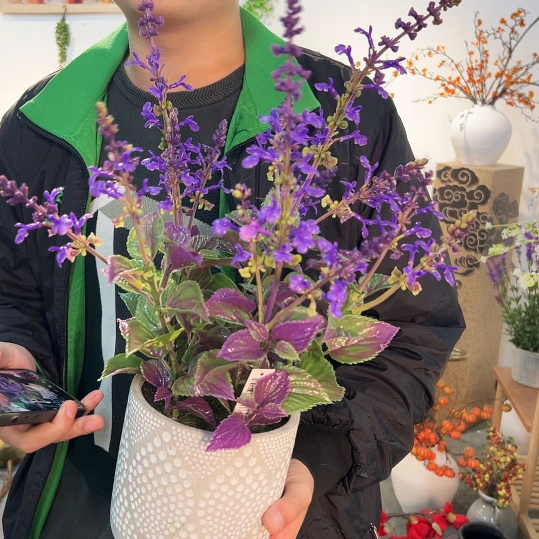 抖音直播福利一个小