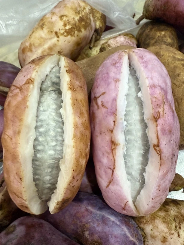 罗坎大山野生八月瓜当季新鲜现摘香甜软糯网红水果