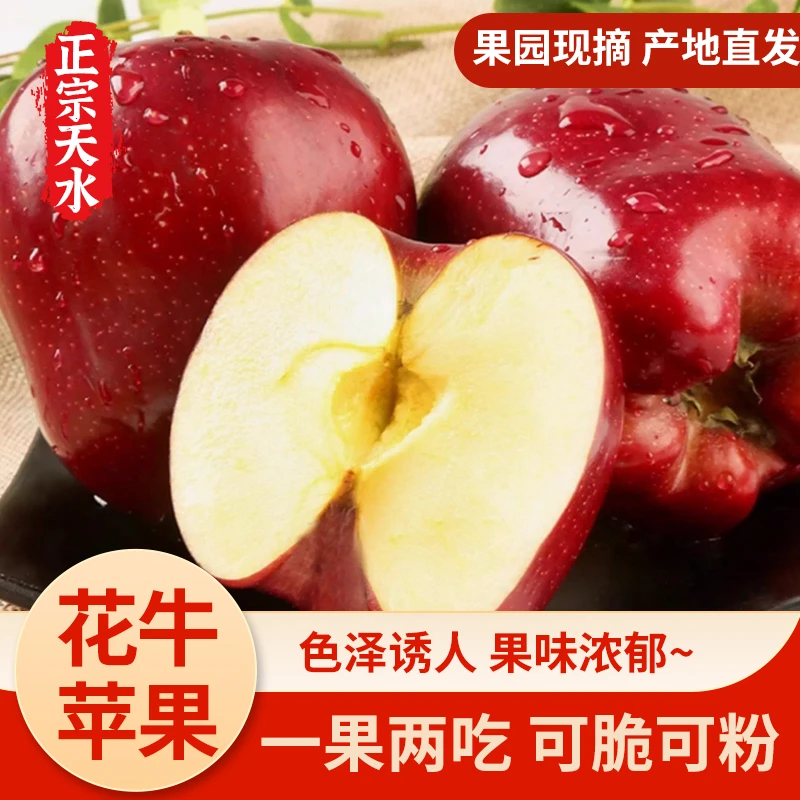 甘肃天水花牛苹果脆粉两吃果肉细腻新鲜当季水果纸箱装