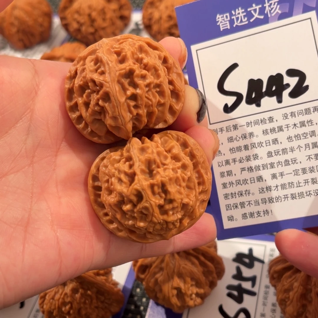 核桃S442号苹果园40尺