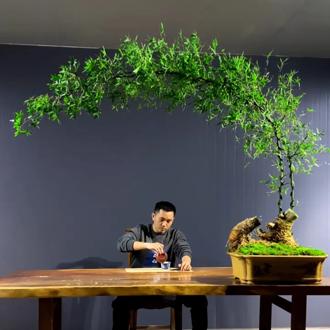 簕竹盆景高货怪桩手艺年功桩大茶桌摆放茶空间禅意竹盆景定制
