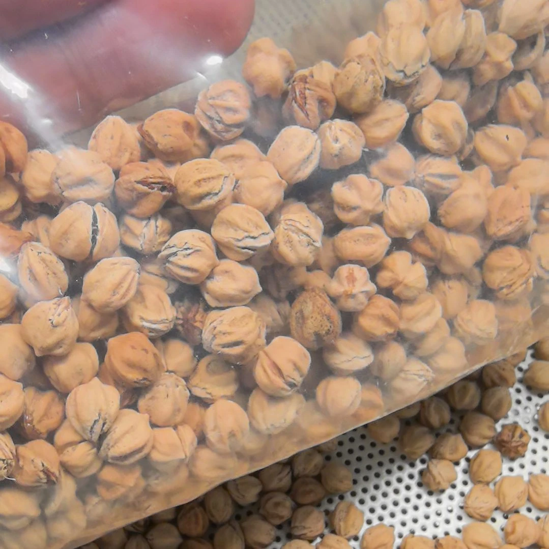 白***果手串柏香籽/百香籽