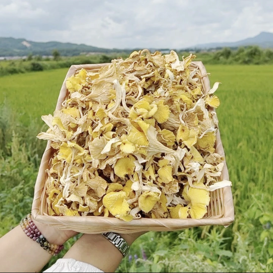 东北特产榆黄蘑干货煲汤火锅食材山珍美味