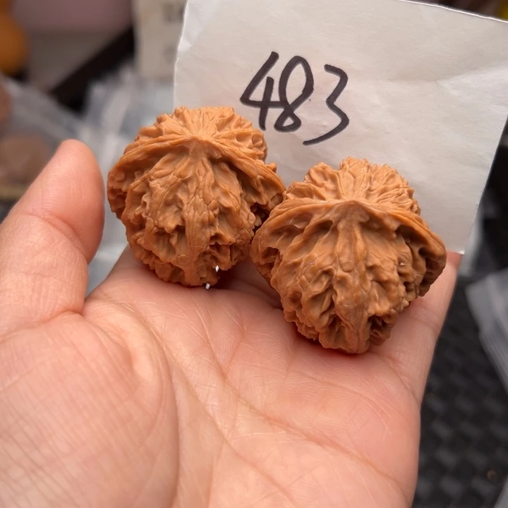 核桃40尺寸苹果园磕尖