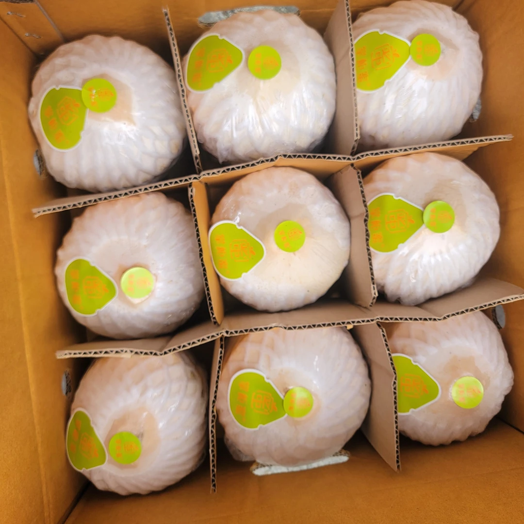 泰国奶香椰青！一件9个，单果1.5-2斤