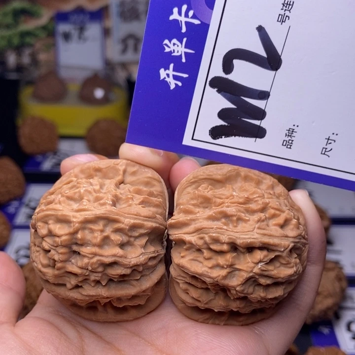 吊坠文玩核桃W12链接 全品头茬白狮子43尺