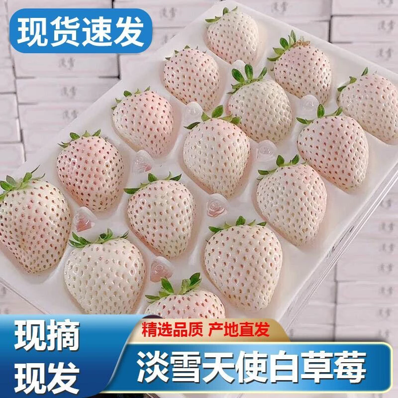 顺丰空运新鲜现摘淡雪草莓甜草莓奶油草莓白草莓当季水果整箱包邮