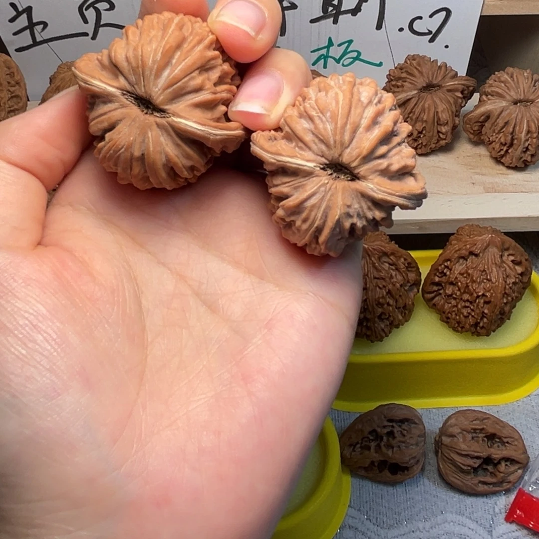 丘****大叶紫檀（黑酸枝木类）