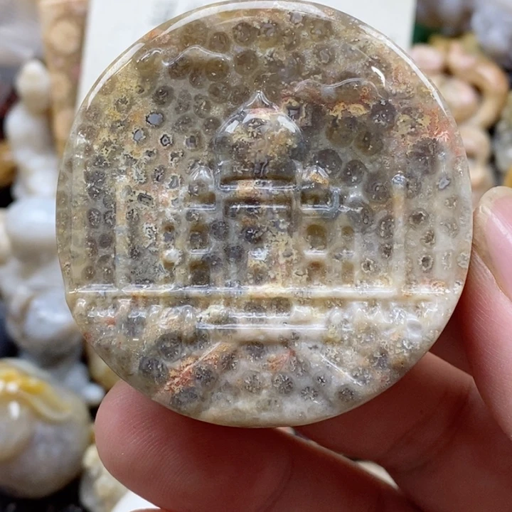 颈饰未镶嵌硅化珊瑚（珊瑚玉）