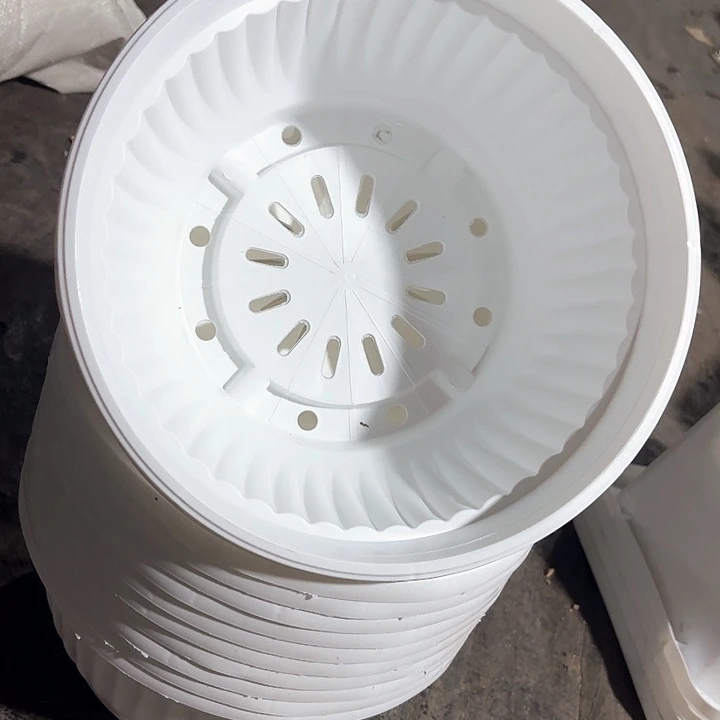 23公分白色聚宝盆6个