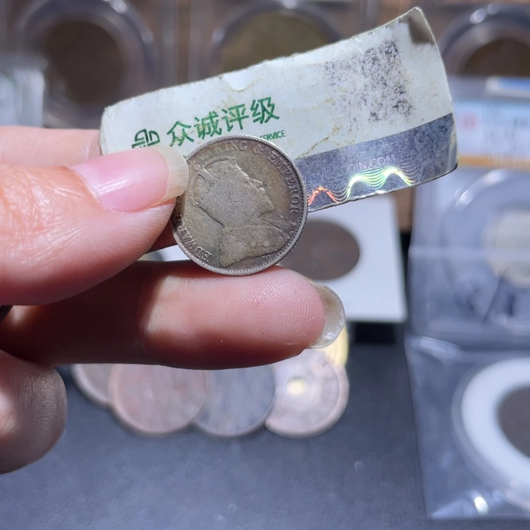 金通今博古木子30