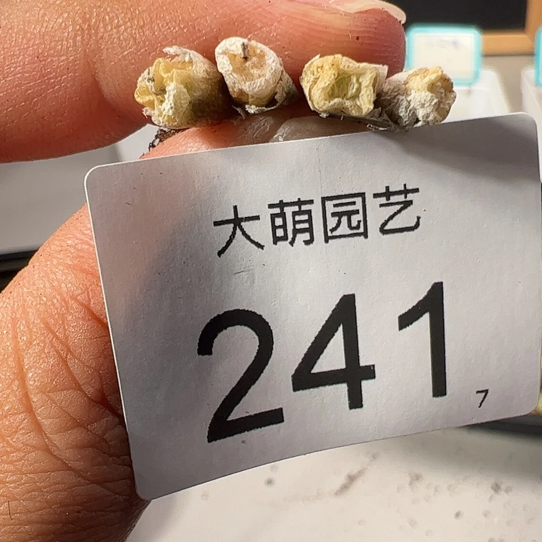 0000241 一物一拍……