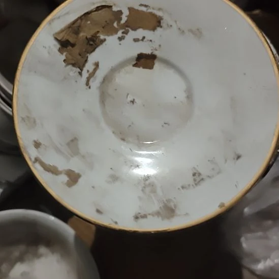 瓷发两个金边碟子，口径15