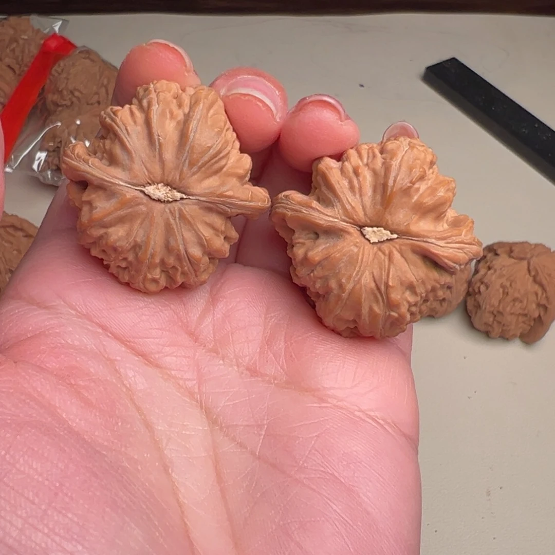 核桃把件白狮子36尺
