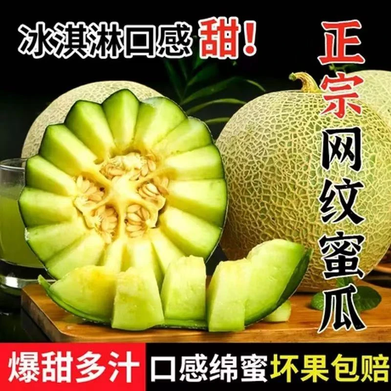 【山东】潍坊网纹瓜4.5/8斤装 应季香甜水果原产地直发