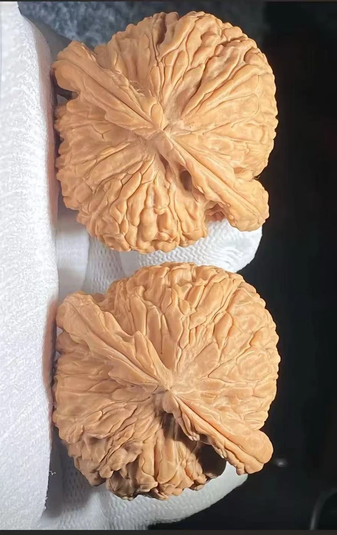 文玩核桃（以直播间实物为准）