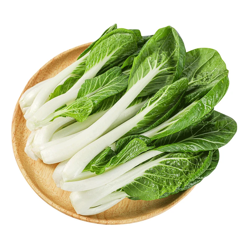 【蔬菜】芸岭鲜生有机小白菜250g