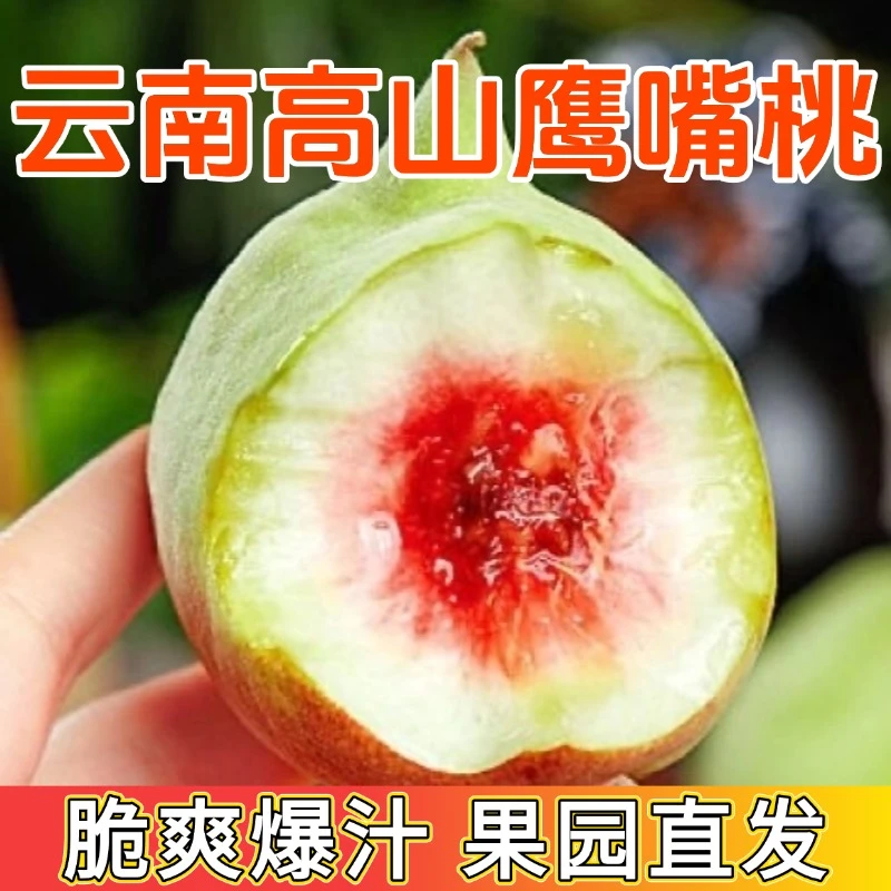【果园直发】云南蒙自鹰嘴桃新鲜现摘大果脆甜可口当季时令水果优选