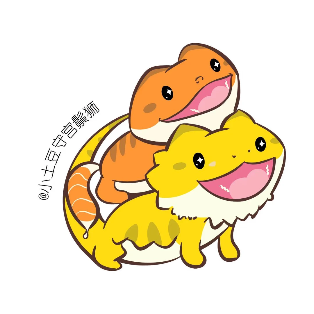 直播间专拍豹纹守宫新手入门懒人爬宠异宠物蜥蜴温顺可爱阳光银河