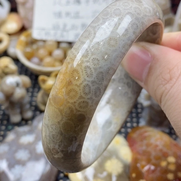 硅化珊瑚（珊瑚玉）颈饰未镶嵌55