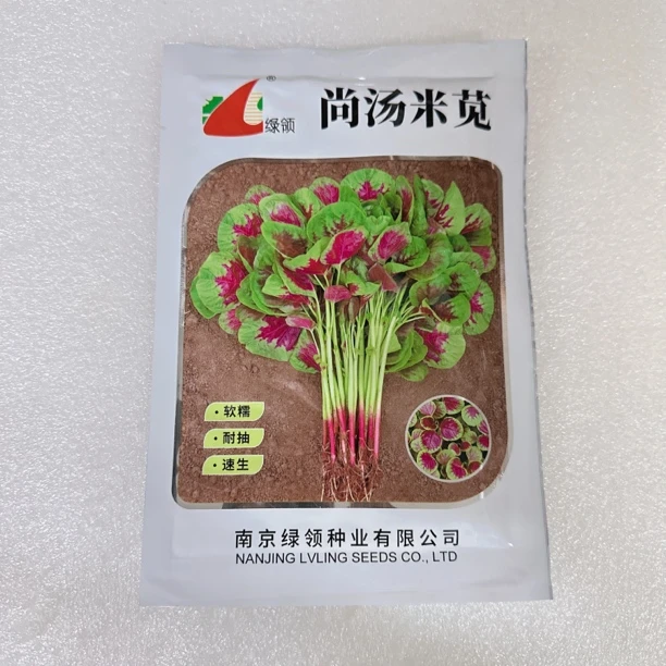 绿领尚汤米苋白梗苋菜种子 100克/袋