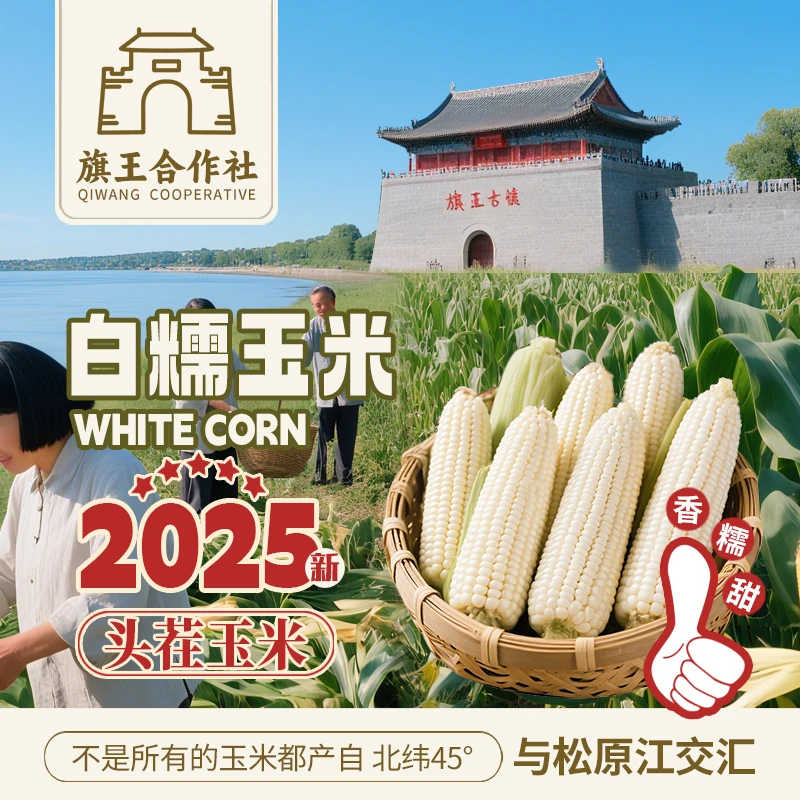 25年头茬新玉米】铝箔白甜糯玉米精选大棒白甜糯玉米*10根/12根