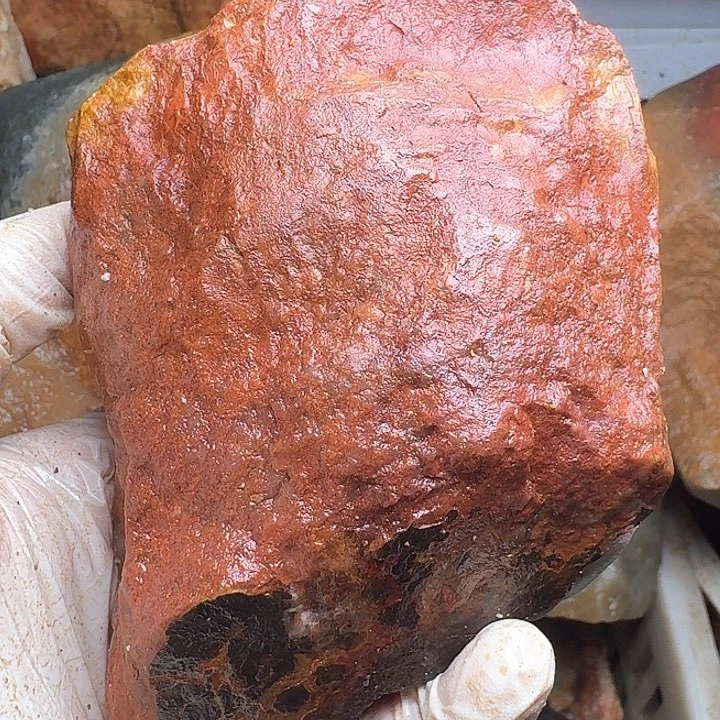 寿山石壶**秋寿山石的颜色