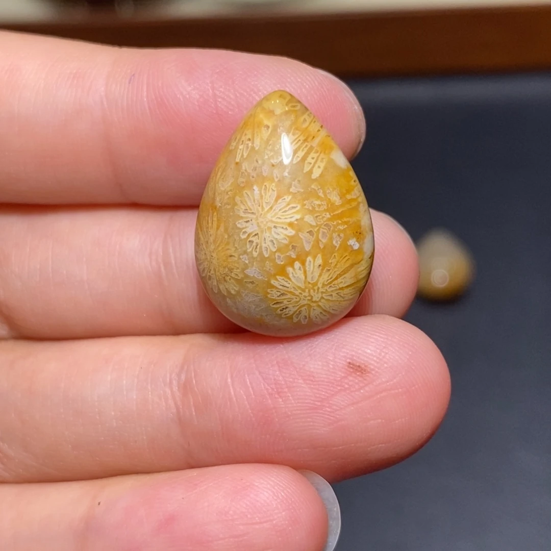 【闪购商品】未镶嵌珊瑚玉硅化玉