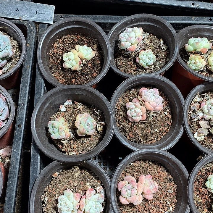 哈哈哈哈哈哈哈哈哈