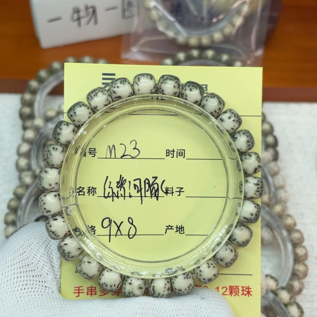 菩提籽类M绿背河豚