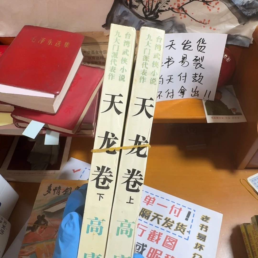 天龙两本一起合拍