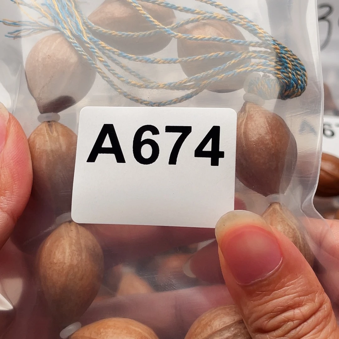 橄榄核手串/手链军橄榄