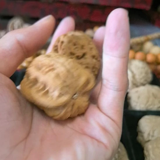 深***鱼吊坠龙脊菩提啊啊啊啊啊啊啊啊17