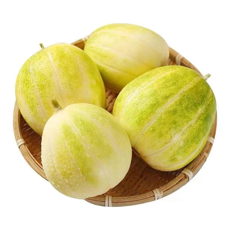 东北香瓜 现摘现发顺丰 包邮 脆甜可口