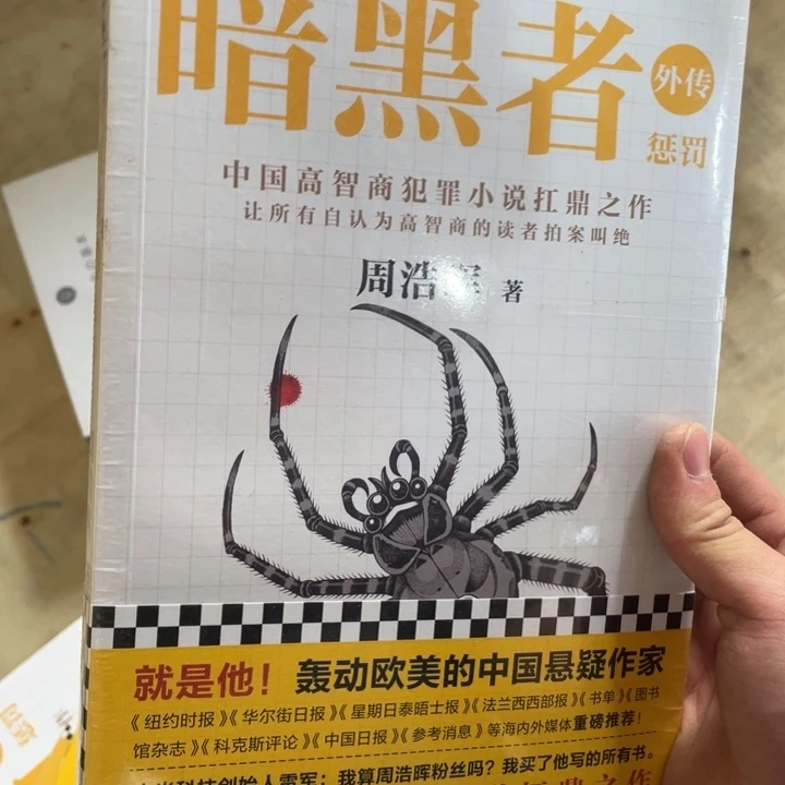 暗黑者外传惩罚正版塑封