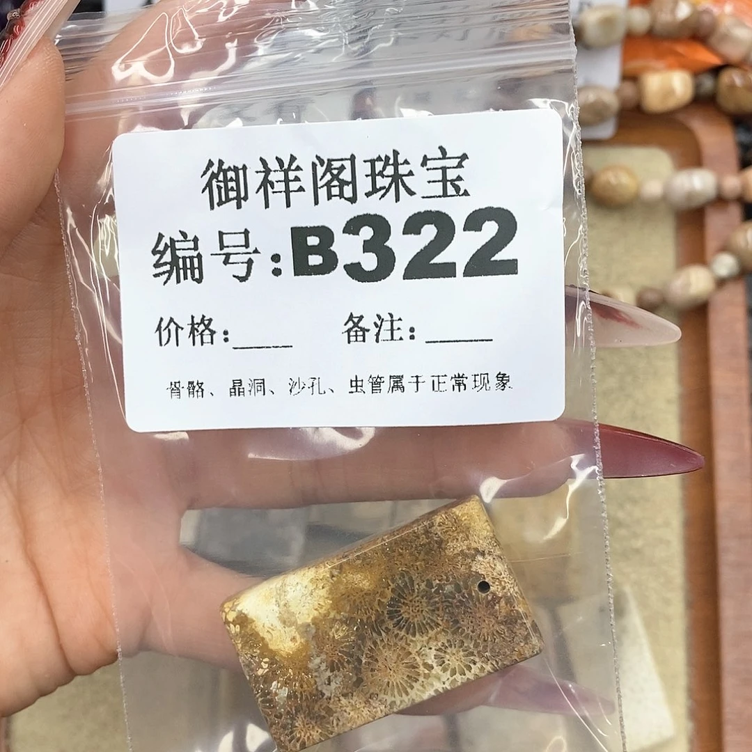 硅化珊瑚（珊瑚玉）颈饰未镶嵌香****?