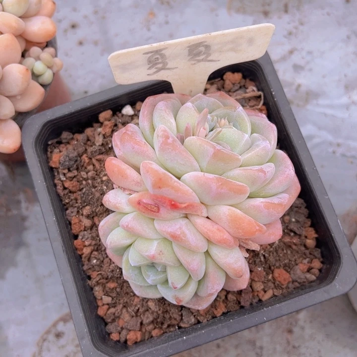 健健康康平平安安